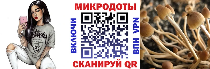 гидра ссылки дарнет шоп Самара Галлюциногенные грибы Magic Shrooms